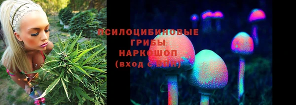 MDMA Вяземский